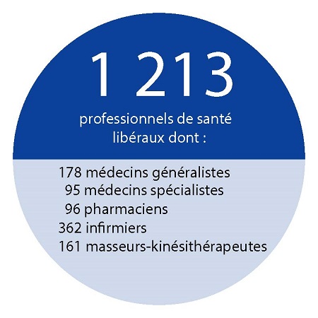 1 213 professionnels de santé, 178 médecins généralistes, 95 médecins spécialistes, 96 pharmaciens, 362                                     infirmiers, 161 masseurs-kinésithérapeutes.